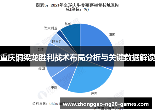 重庆铜梁龙胜利战术布局分析与关键数据解读 重庆铜梁龙胜利战术布局分析与关键数据解读