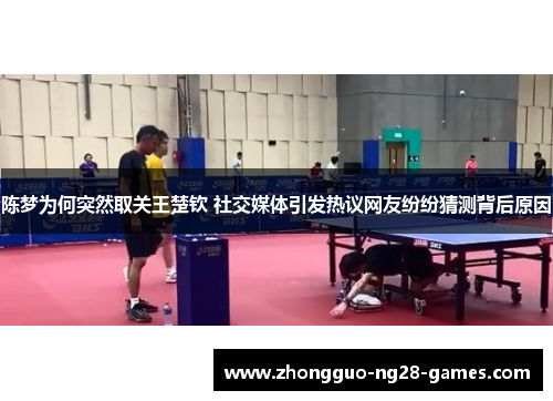 陈梦为何突然取关王楚钦 社交媒体引发热议网友纷纷猜测背后原因 陈梦为何突然取关王楚钦 社交媒体引发热议网友纷纷猜测背后原因